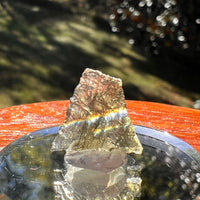 Moldavite 0.5 grams #2349-Moldavite Life