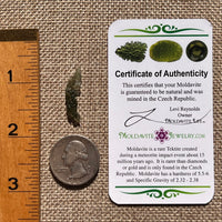 Moldavite 0.5 grams #2358-Moldavite Life