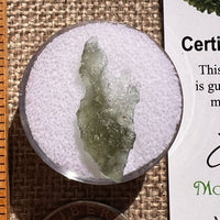 Moldavite 0.5 grams #2377-Moldavite Life