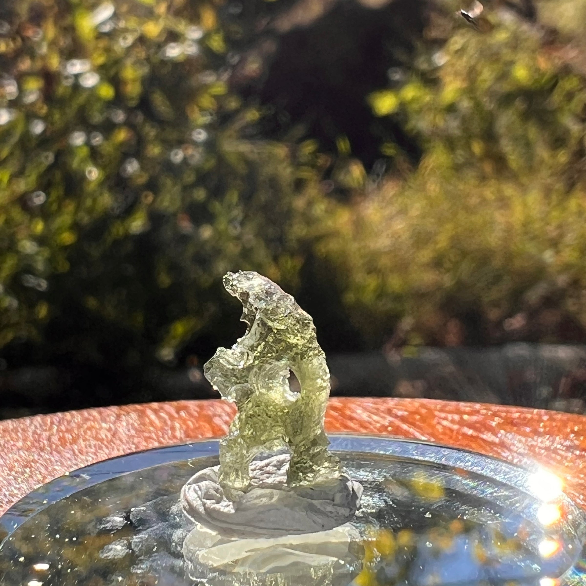 Moldavite 0.6 gram Natural Hole #2293-Moldavite Life