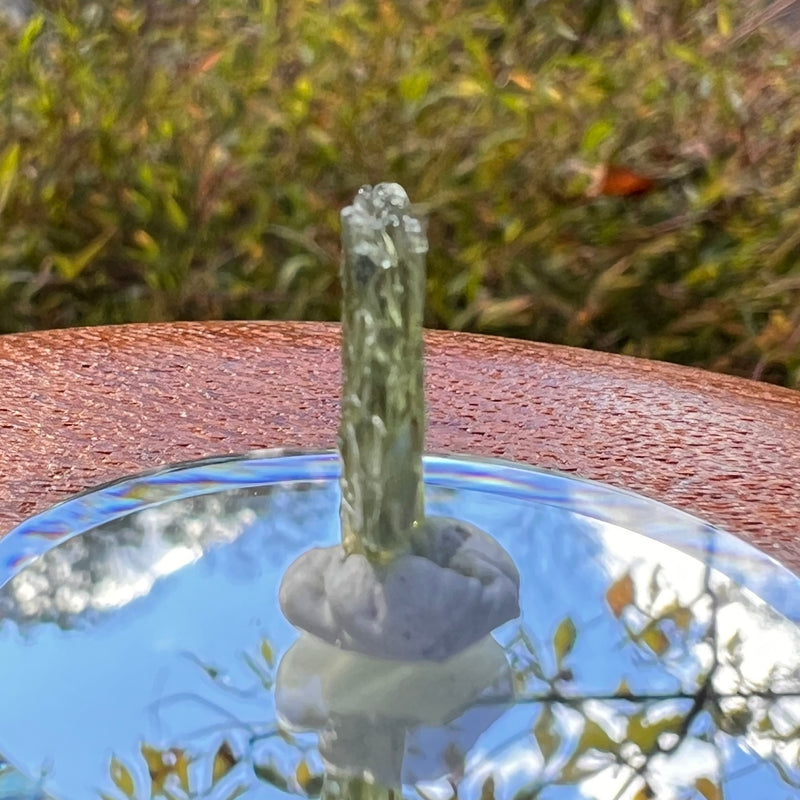 Moldavite 0.6 grams #2229-Moldavite Life