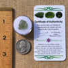 Moldavite 0.6 grams #2229-Moldavite Life