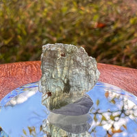 Moldavite 0.6 grams #2229-Moldavite Life