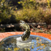 Moldavite 0.6 grams #2290-Moldavite Life