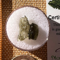 Moldavite 0.6 grams #2290-Moldavite Life