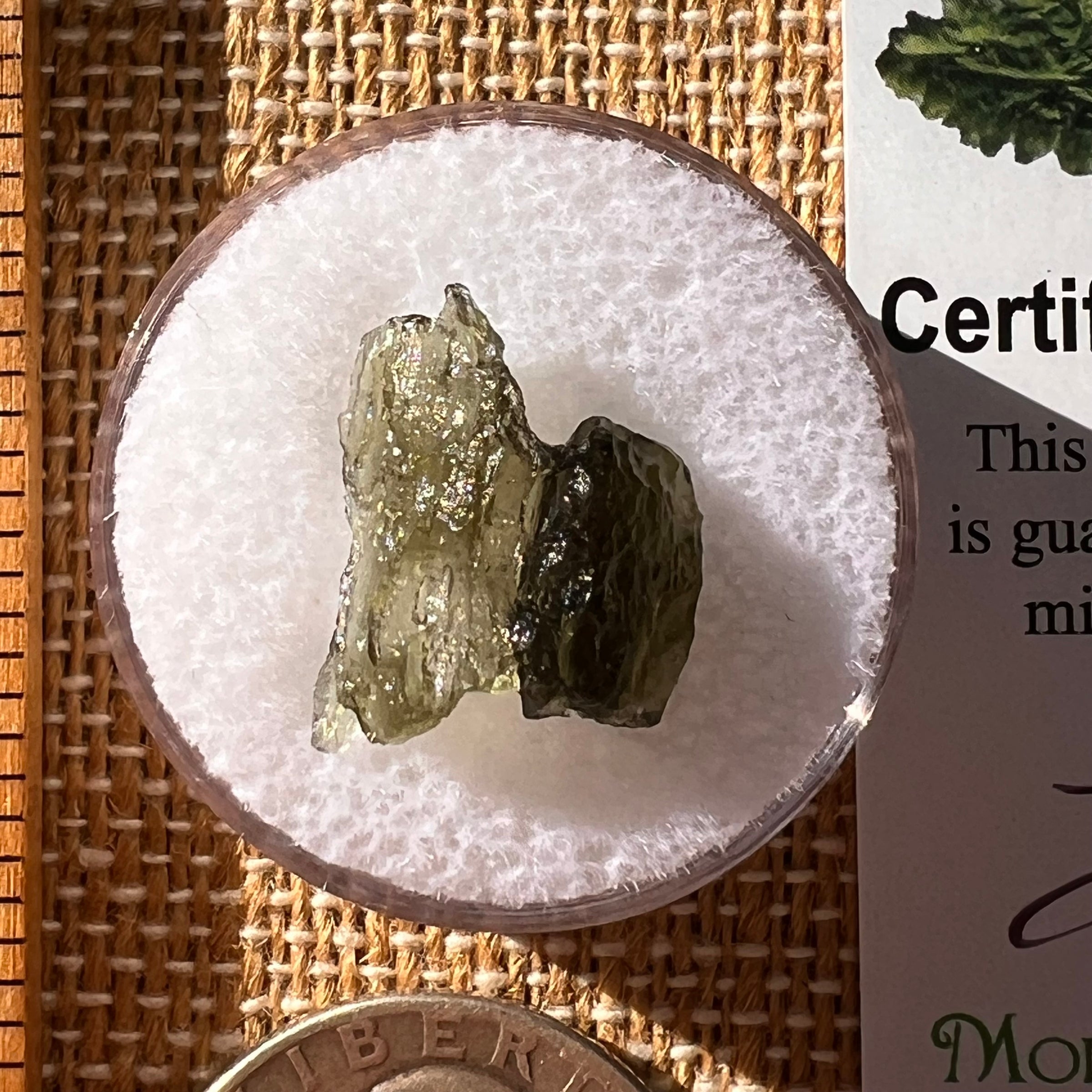 Moldavite 0.6 grams #2290-Moldavite Life