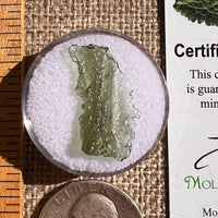 Moldavite 0.6 grams #2330-Moldavite Life