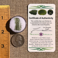 Moldavite 0.6 grams #2330-Moldavite Life