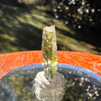 Moldavite 0.6 grams #2352-Moldavite Life