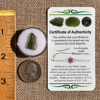 Moldavite 0.6 grams #2352-Moldavite Life