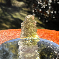 Moldavite 0.6 grams #2352-Moldavite Life