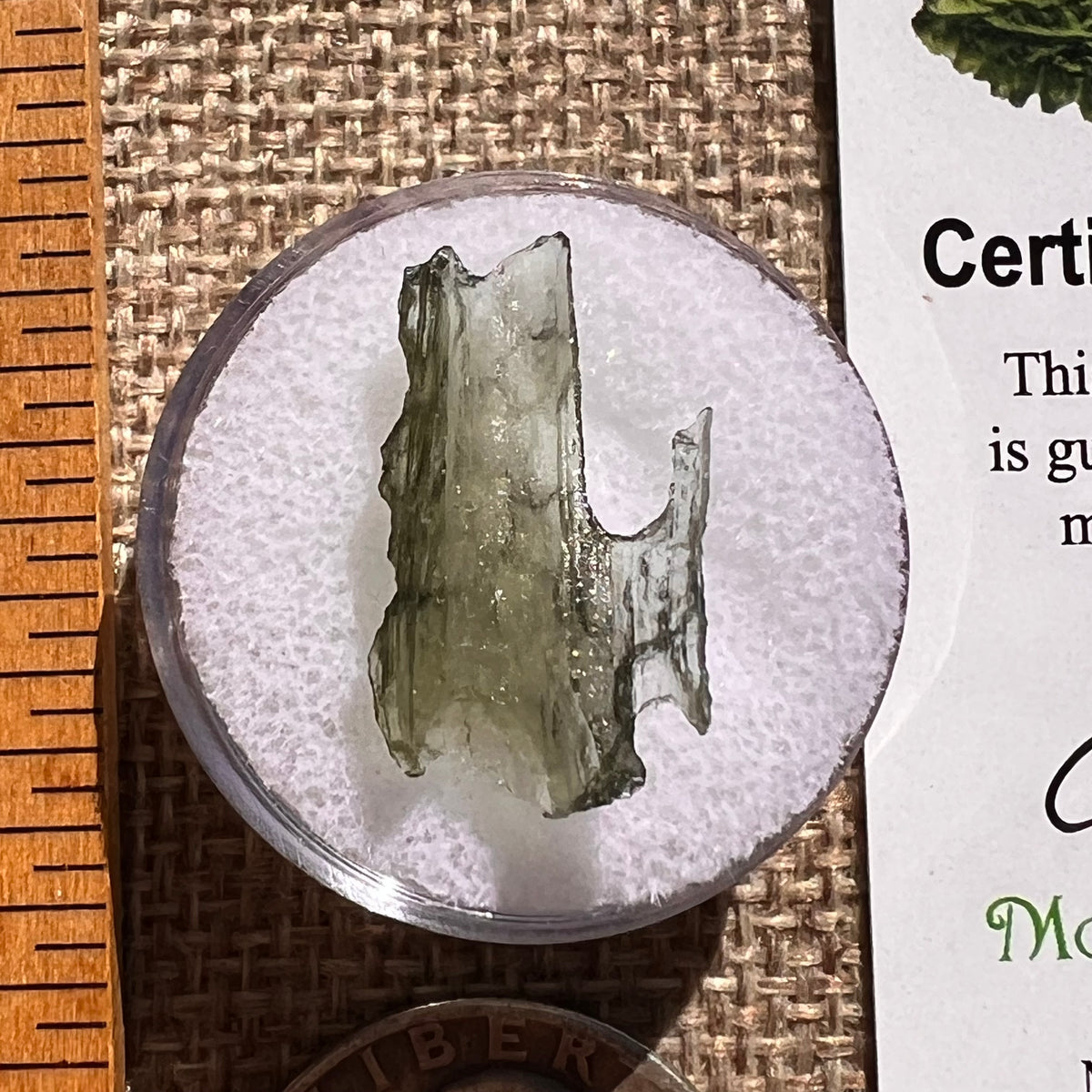 Moldavite 0.6 grams #2378-Moldavite Life