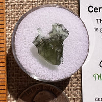 Moldavite 0.6 grams #2379-Moldavite Life