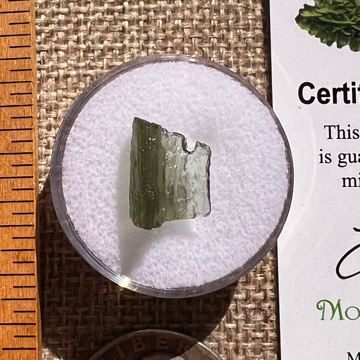 Moldavite 0.6 grams #2380-Moldavite Life