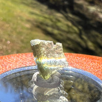 Moldavite 0.6 grams #2380-Moldavite Life