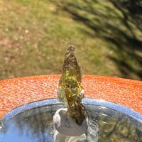 Moldavite 0.6 grams #2381-Moldavite Life