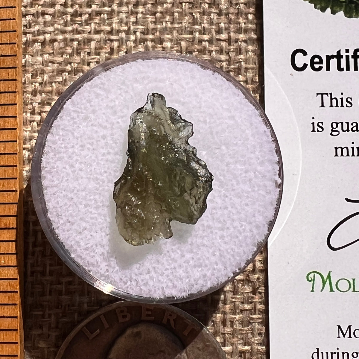 Moldavite 0.6 grams #2381-Moldavite Life