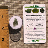 Moldavite 0.6 grams #2381-Moldavite Life