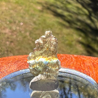 Moldavite 0.6 grams #2381-Moldavite Life