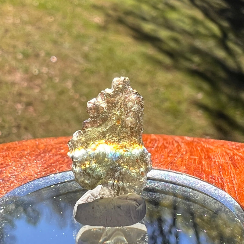 Moldavite 0.6 grams #2381-Moldavite Life