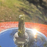 Moldavite 0.6 grams #2383-Moldavite Life