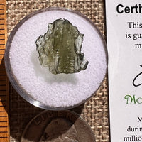 Moldavite 0.6 grams #2383-Moldavite Life