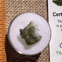 Moldavite 0.6 grams #2384-Moldavite Life