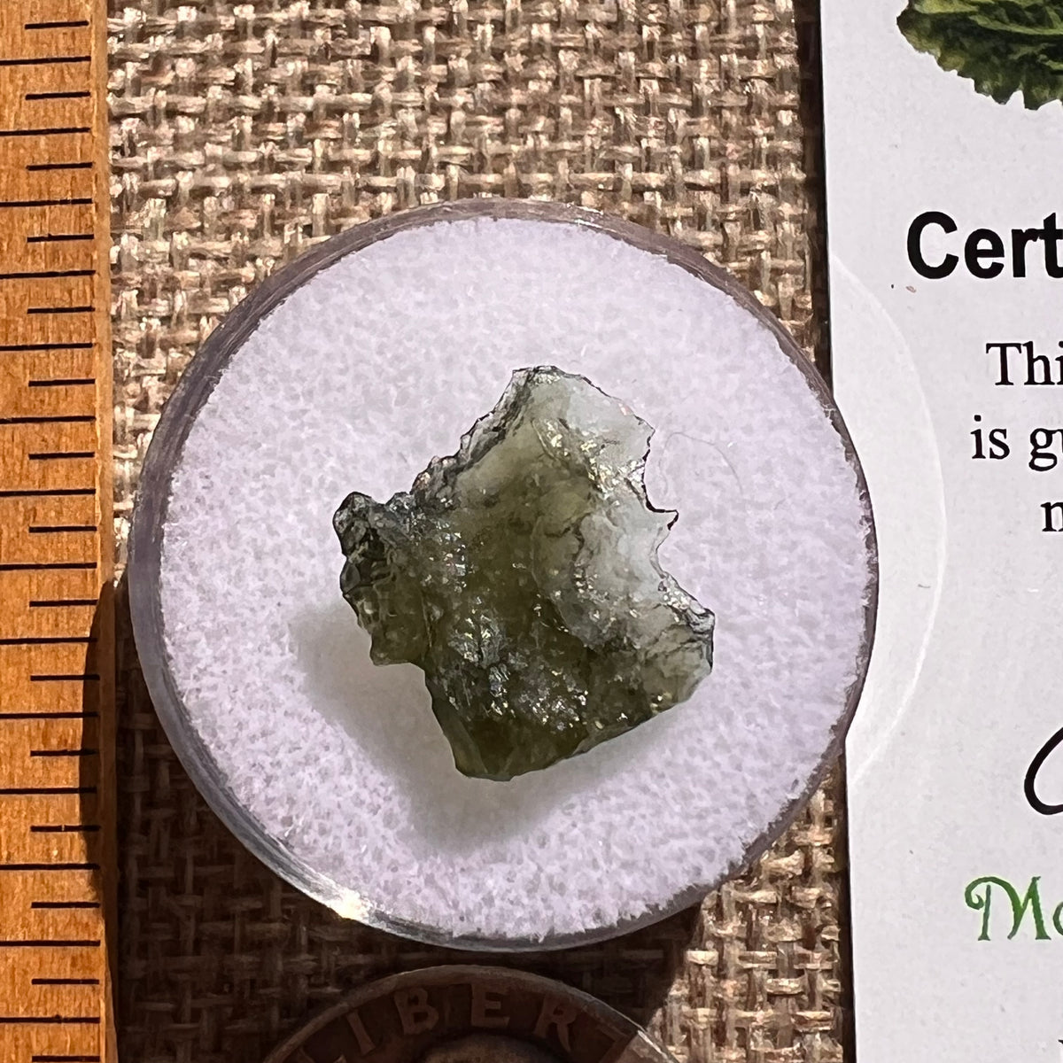Moldavite 0.6 grams #2384-Moldavite Life