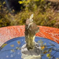 Moldavite 0.6 grams Natural Hole #2261-Moldavite Life