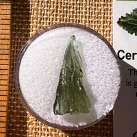 Moldavite 0.7 gram #2268-Moldavite Life