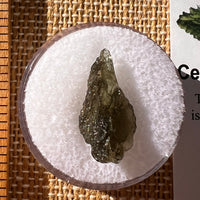 Moldavite 0.7 gram #2289-Moldavite Life