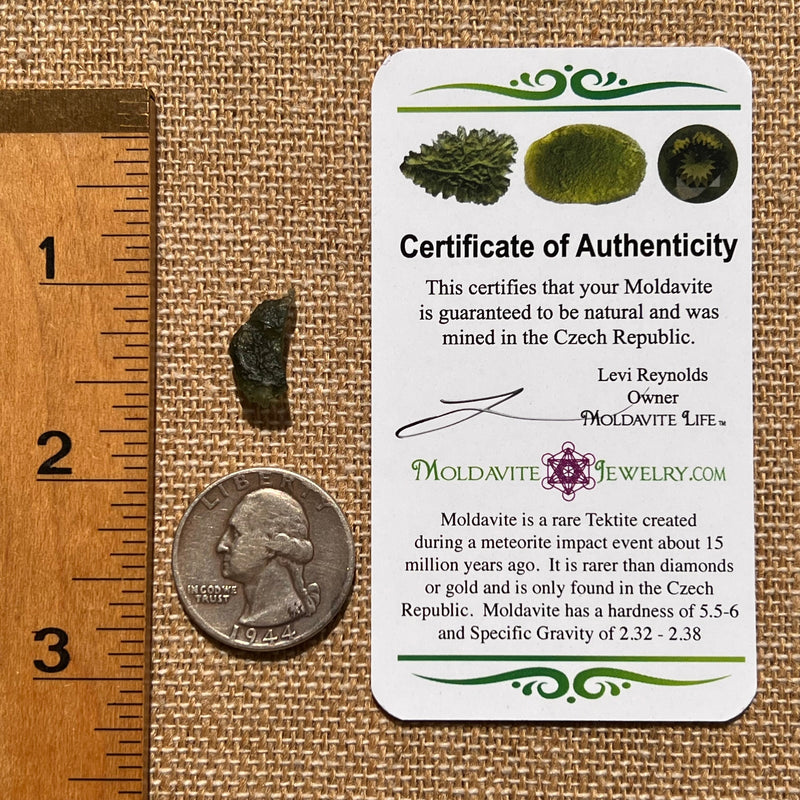 Moldavite 0.7 grams #1691-Moldavite Life