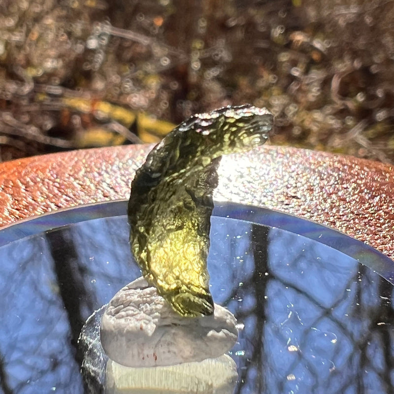 Moldavite 0.7 grams #1774-Moldavite Life