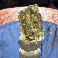 Moldavite 0.7 grams #1879-Moldavite Life