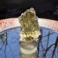Moldavite 0.7 grams #1879-Moldavite Life