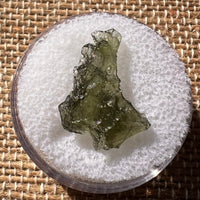 Moldavite 0.7 grams #1880-Moldavite Life
