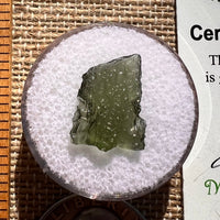 Moldavite 0.7 grams #1888-Moldavite Life
