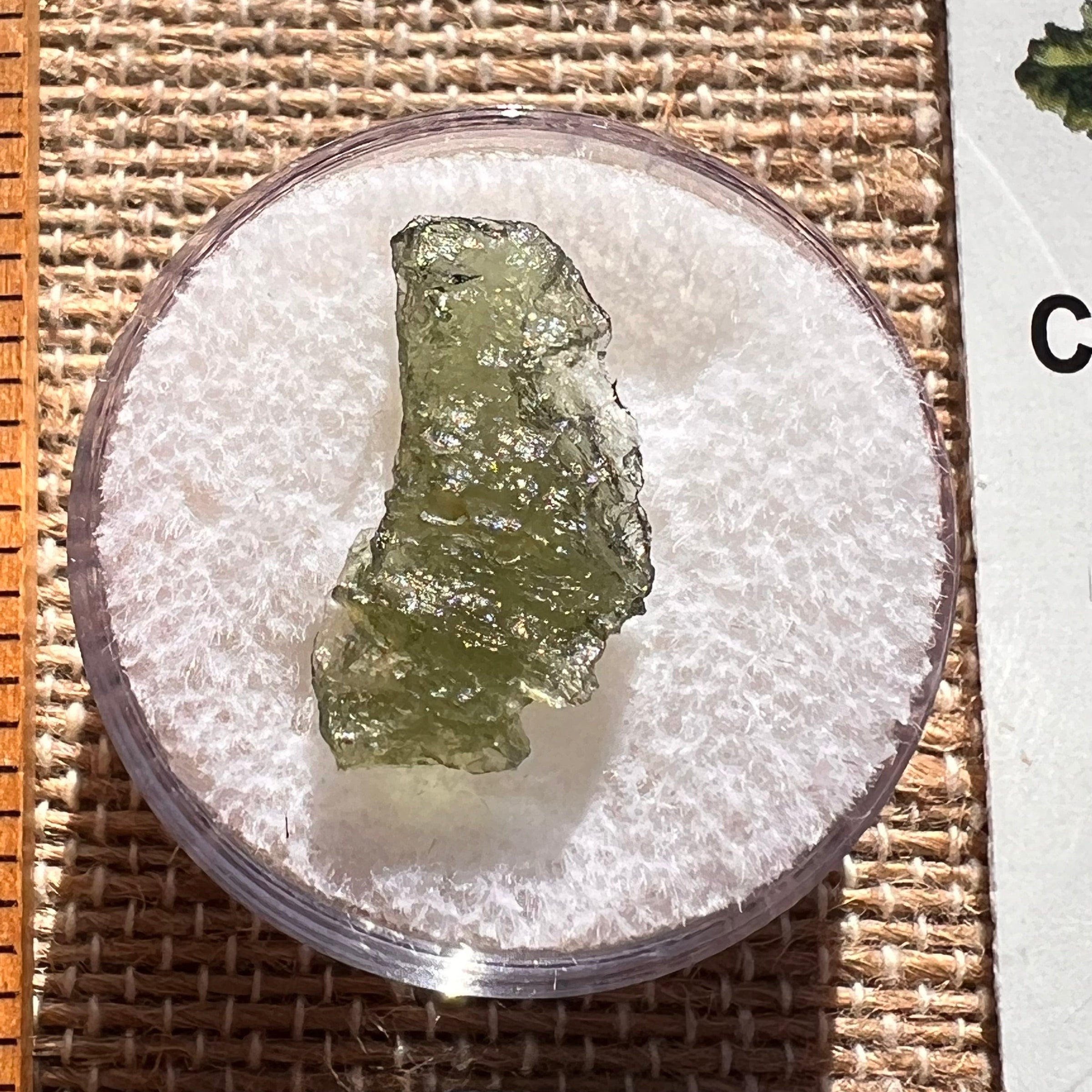Moldavite 0.7 grams #1993-Moldavite Life