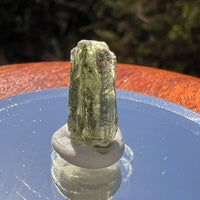 Moldavite 0.7 grams #2065-Moldavite Life