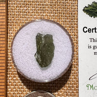 Moldavite 0.7 grams #2065-Moldavite Life