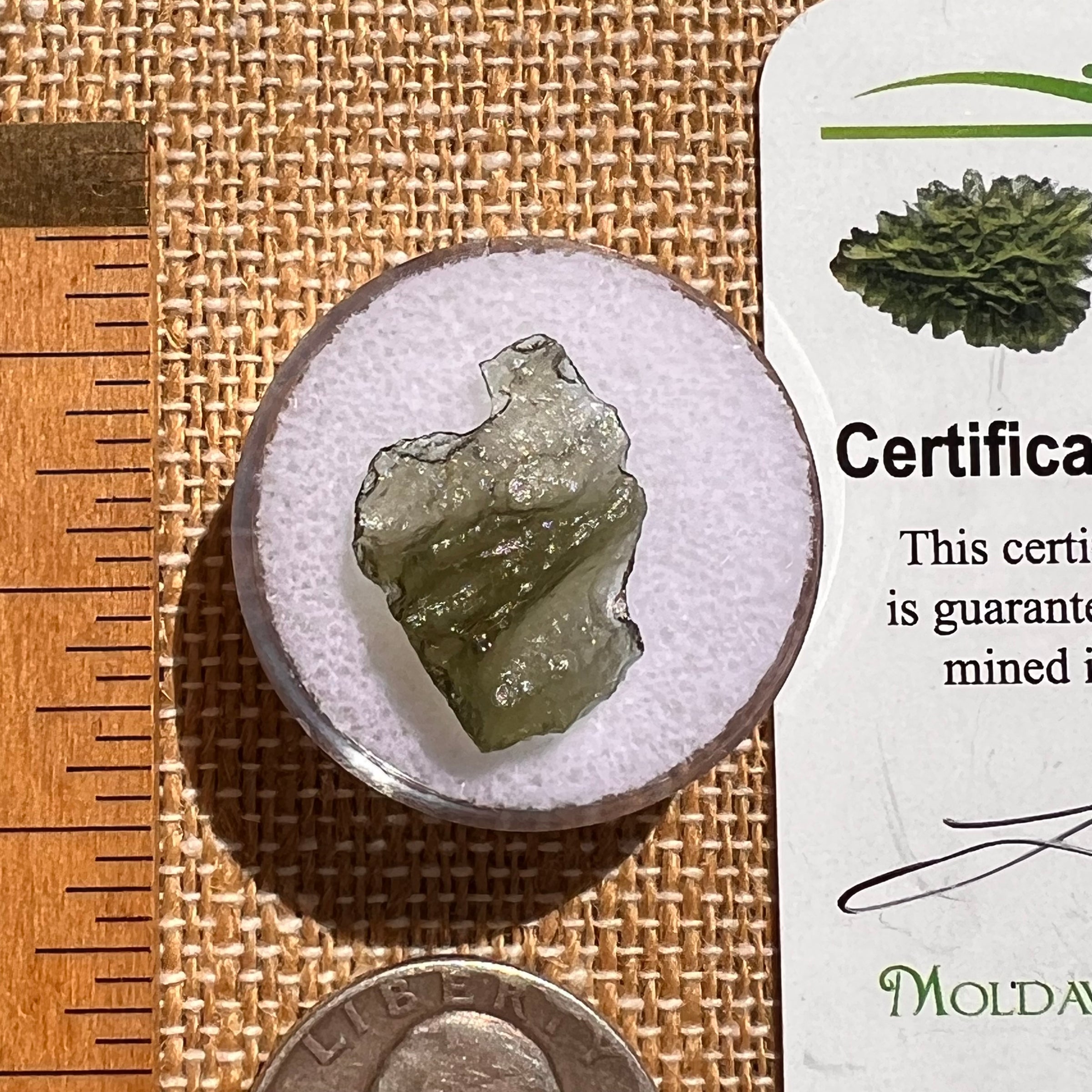 Moldavite 0.7 grams #2103-Moldavite Life