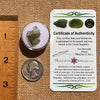 Moldavite 0.7 grams #2103-Moldavite Life