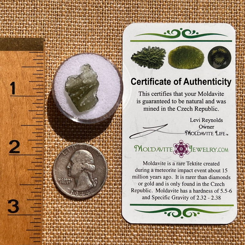 Moldavite 0.7 grams #2103-Moldavite Life
