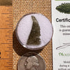 Moldavite 0.7 grams #2106-Moldavite Life