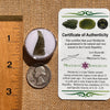 Moldavite 0.7 grams #2106-Moldavite Life