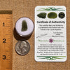 Moldavite 0.7 grams #2110-Moldavite Life