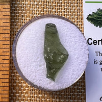 Moldavite 0.7 grams #2227-Moldavite Life