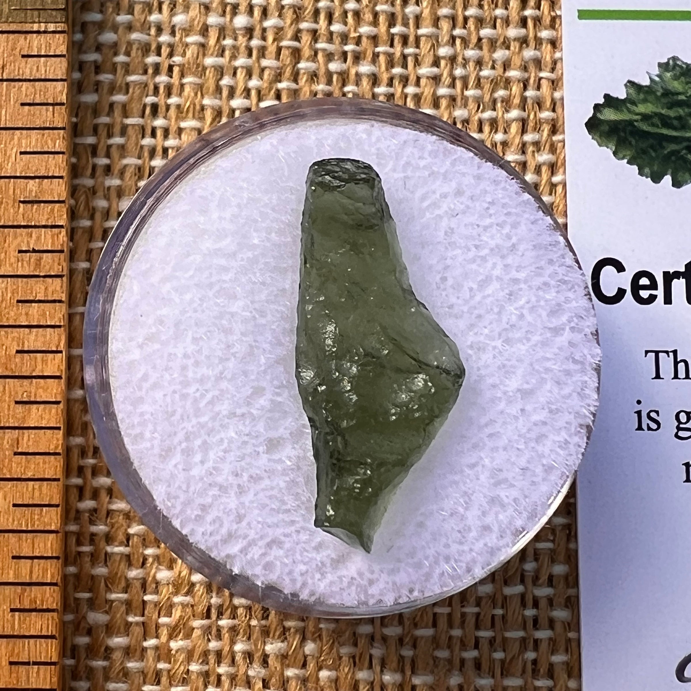 Moldavite 0.7 grams #2227-Moldavite Life