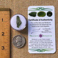 Moldavite 0.7 grams #2227-Moldavite Life