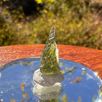 Moldavite 0.7 grams #2247-Moldavite Life